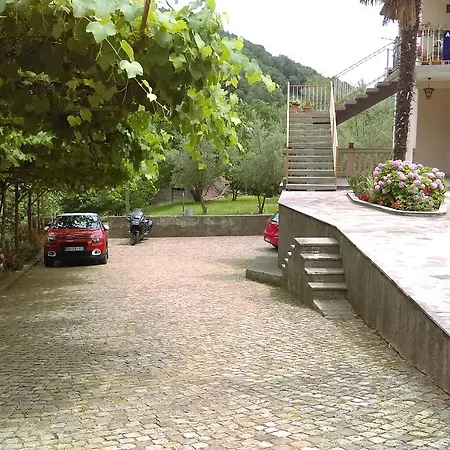 Apartment Jovich 1 *