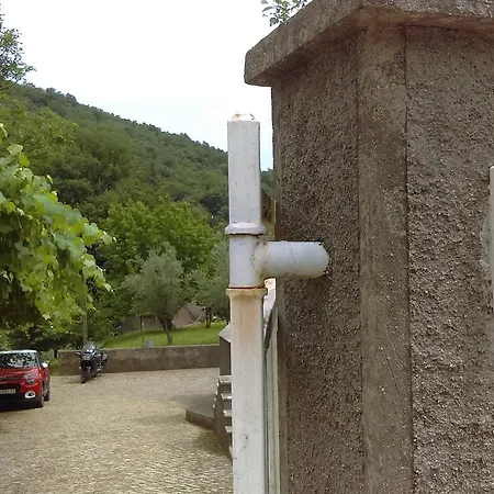 Jovich 1 * Moscenicka Draga